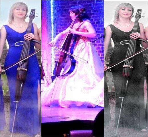 cello artists delhi