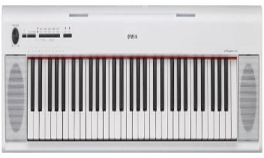 best piano rental service delhi