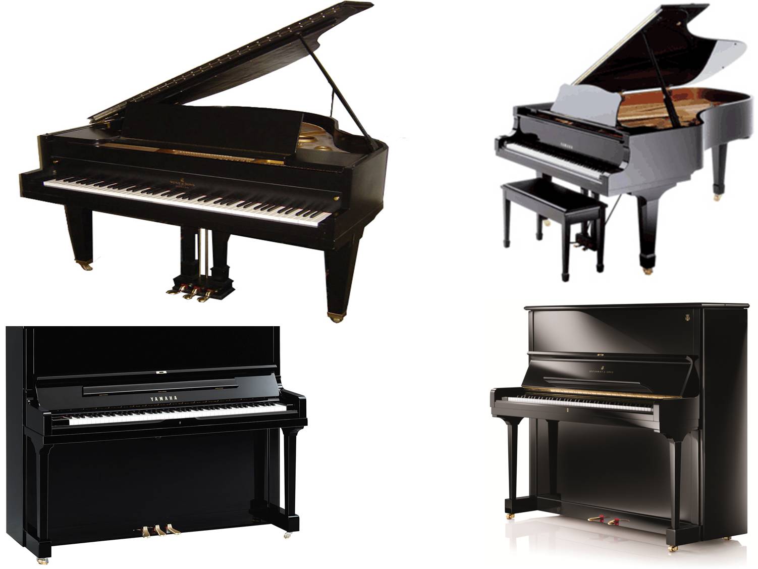 best piano on rent delhi